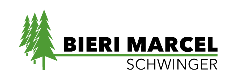 Logo mesi