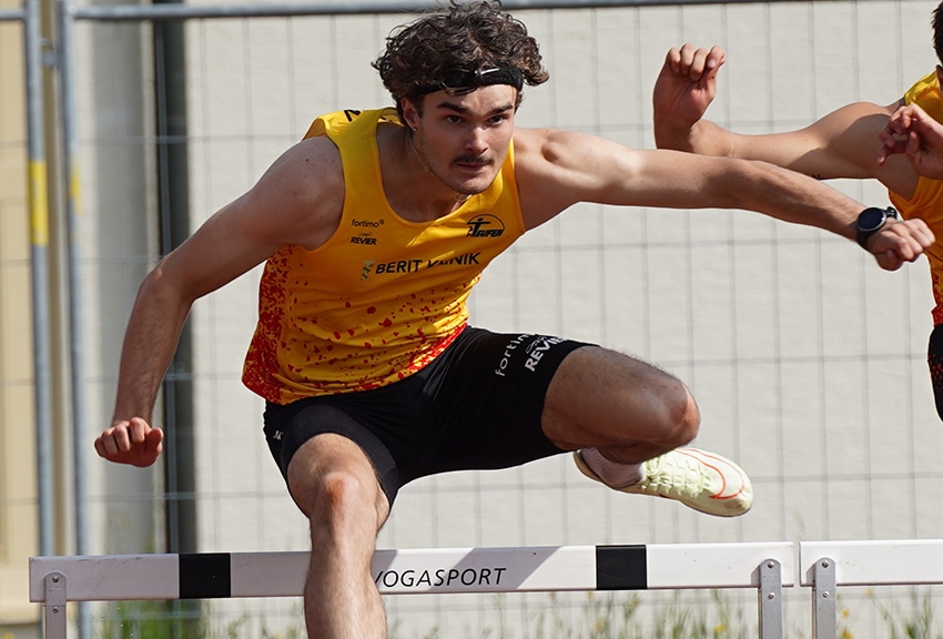 andrinhuber abrogans